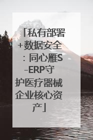 私有部署+数据安全：同心雁S-ERP守护医疗器械企业核心资产